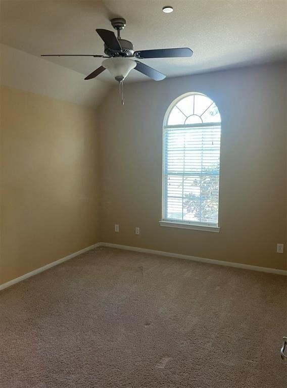 15 Innerwoods Place - Photo 18