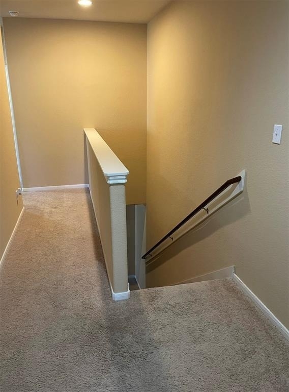 15 Innerwoods Place - Photo 16