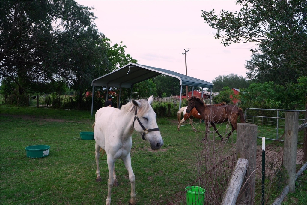 24206 Longenbaugh Road - Photo 39