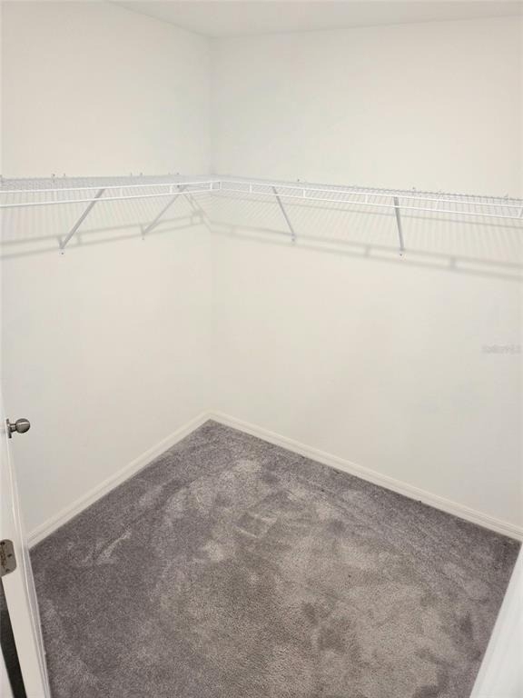 10316 Shady Preserve Drive - Photo 14