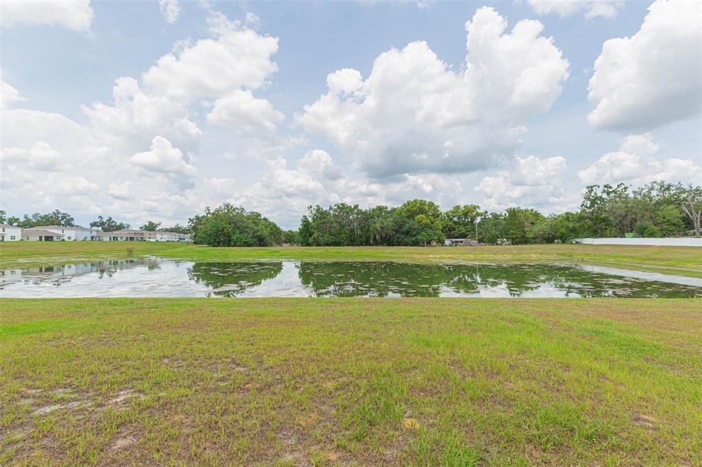36703 Spanish Rose Drive - Photo 44