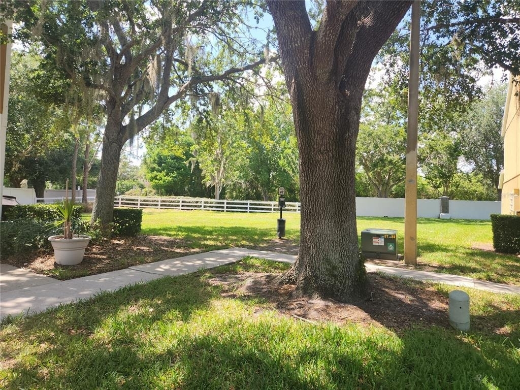 1317 Throckmorton Drive - Photo 2