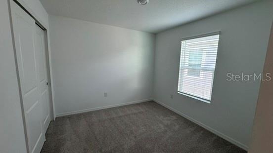 4520 Ranunculus Street - Photo 12