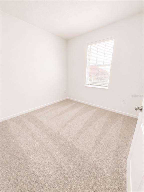 3099 Mindfullness Drive - Photo 13