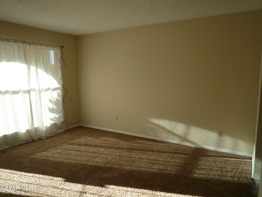 10708 Levelland Place - Photo 9