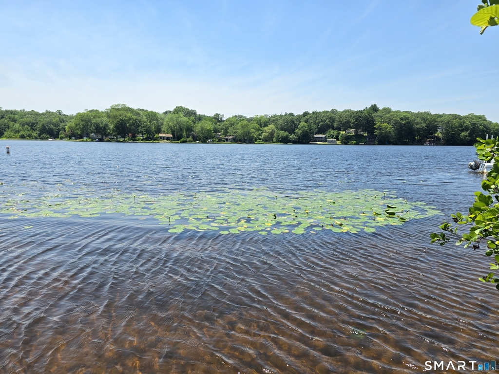 55 Dogwood Road - Photo 22