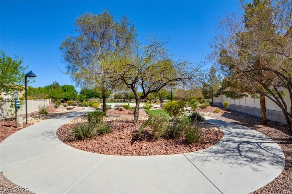 11119 African Sunset Street - Photo 34