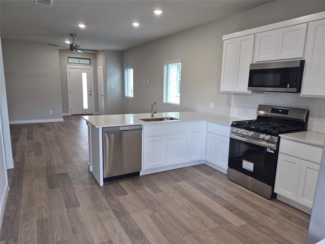 872 Sunflower - Photo 2