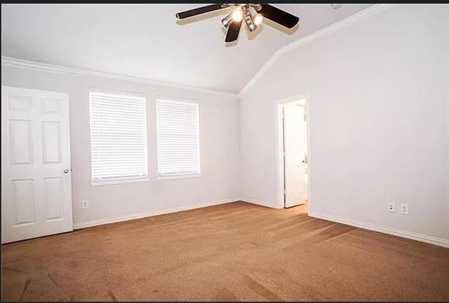 1820 Ringtail Drive - Photo 9