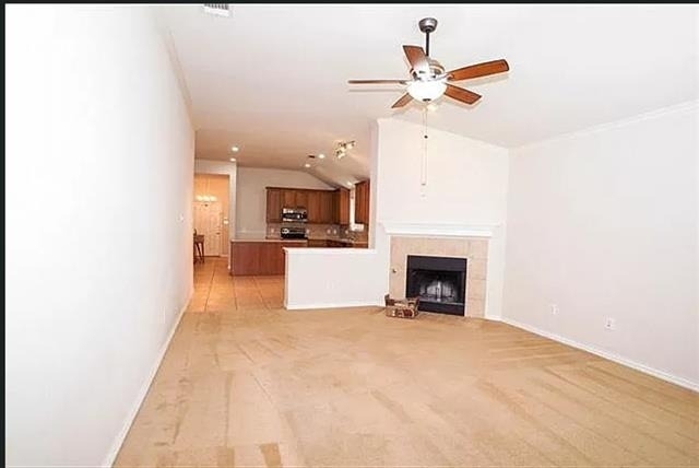 1820 Ringtail Drive - Photo 2