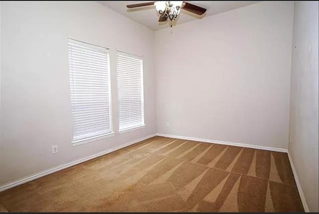 1820 Ringtail Drive - Photo 8
