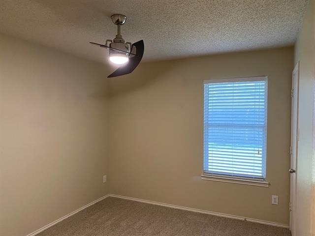 9909 Carter Drive - Photo 25