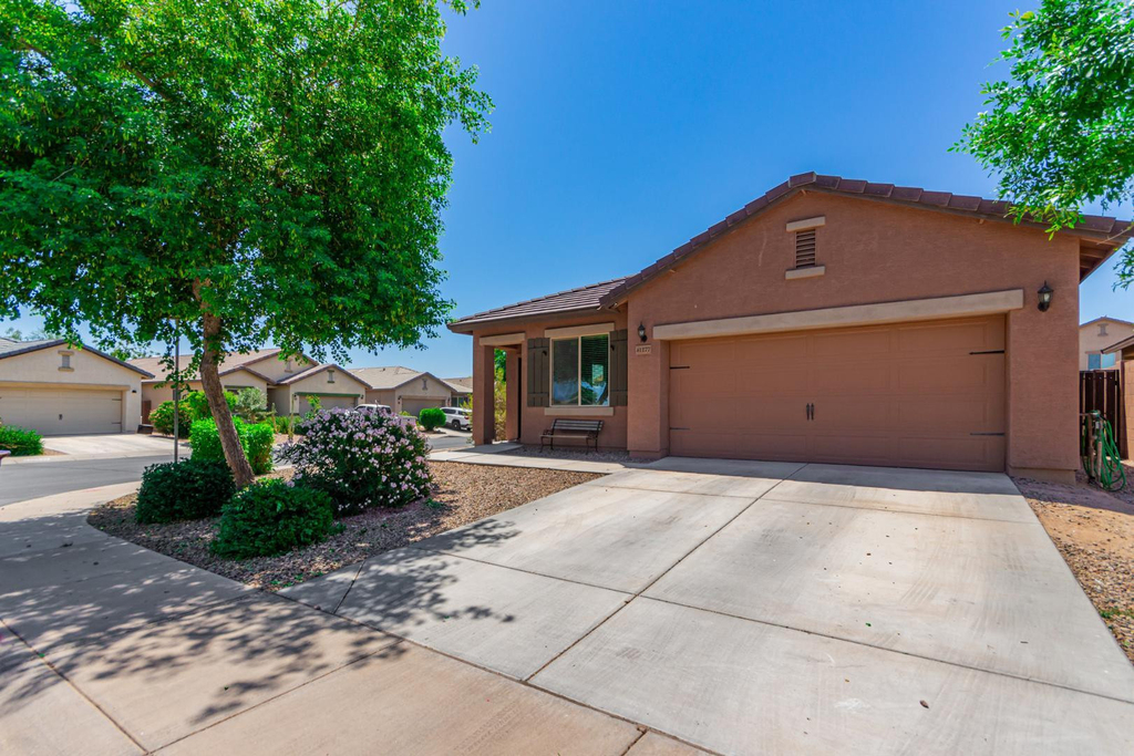 41177 W Lucera Lane - Photo 1