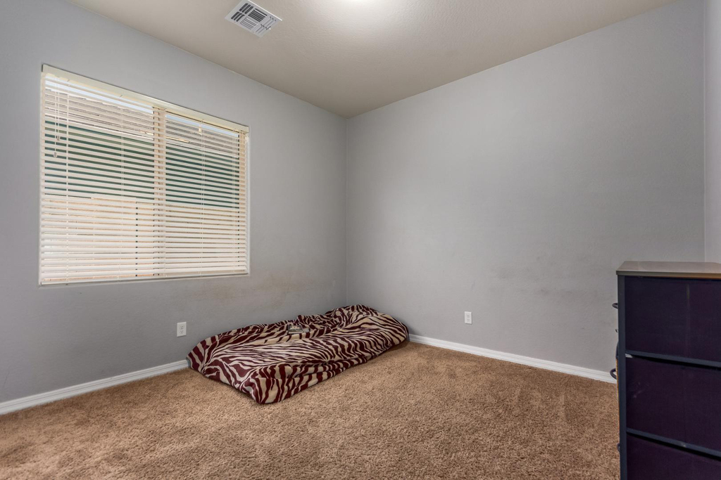 41177 W Lucera Lane - Photo 15