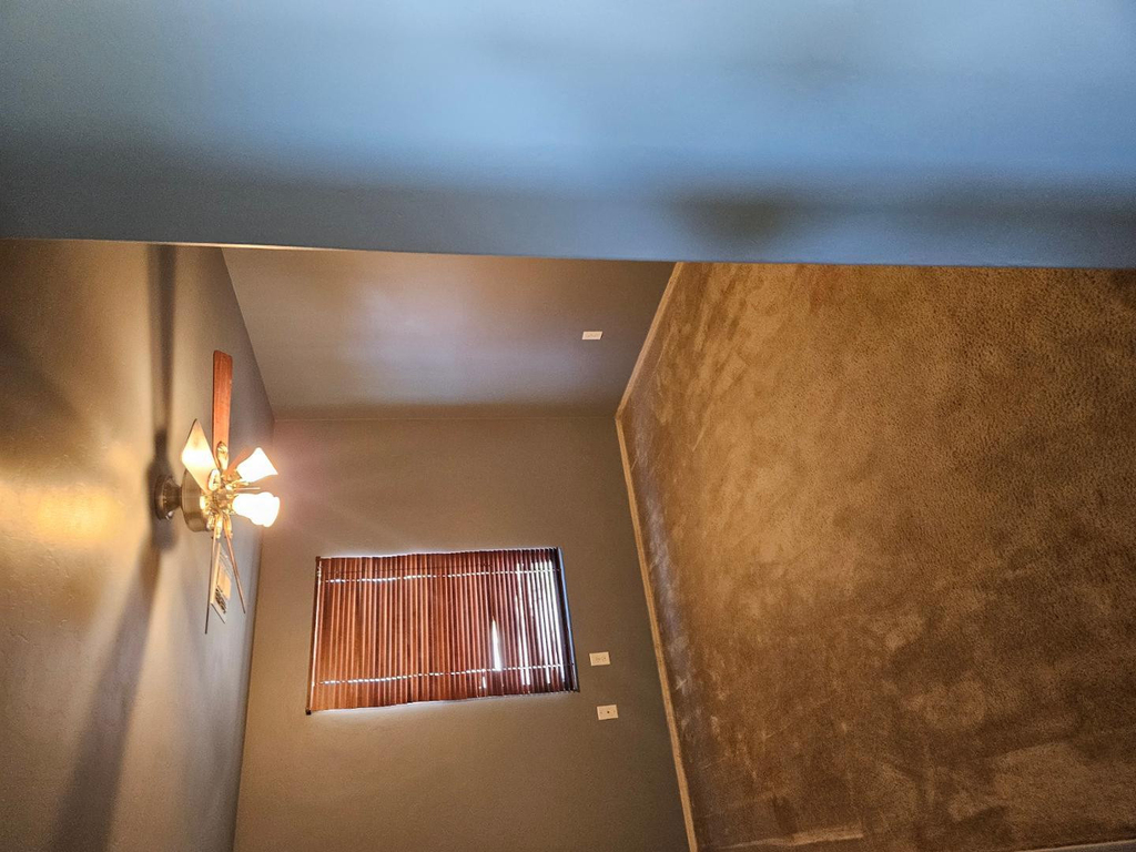 1285 Preston Street - Photo 17