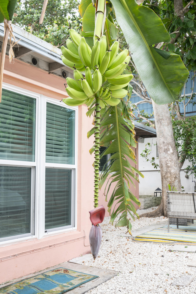 204 Coral Road - Photo 32