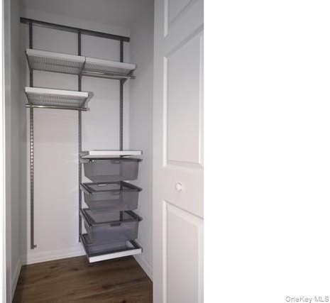 2200 Dolphin Lane - Photo 14