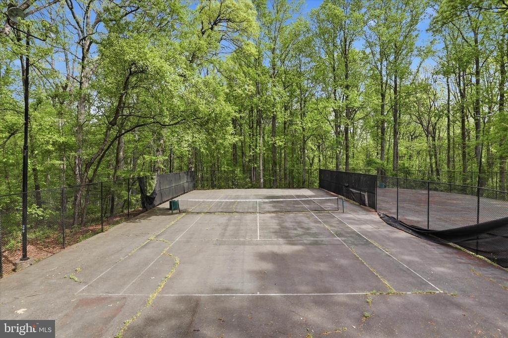 8114 Colony Point Road - Photo 21