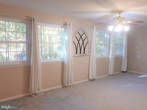 5 Christopher Road - Photo 20
