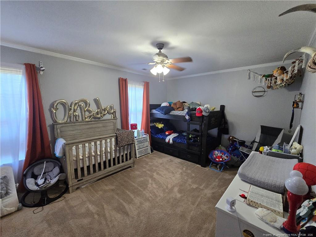 441 Corsegan Road - Photo 25