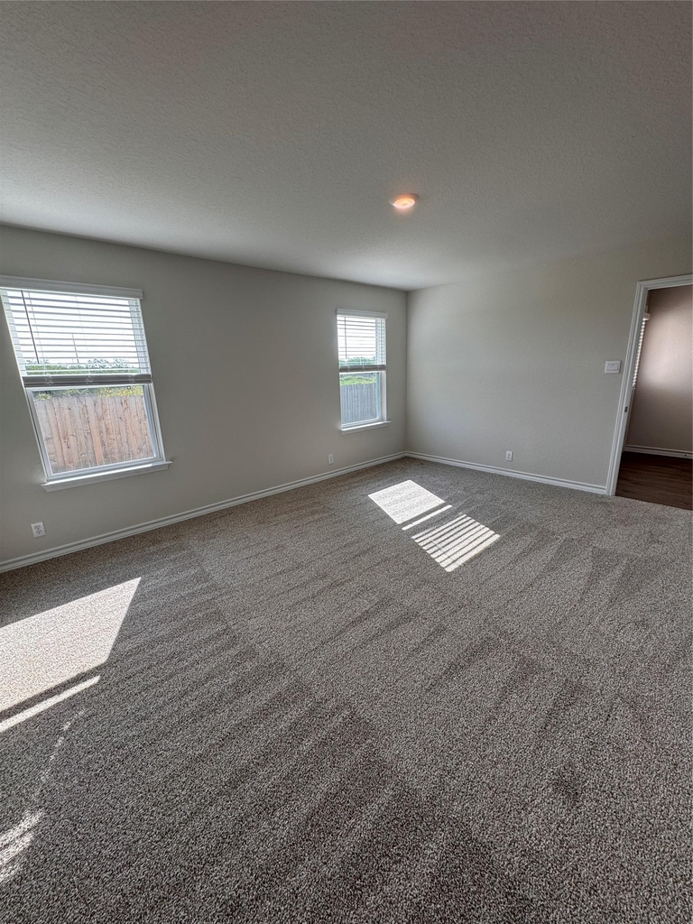 204 Steele Harbor St - Photo 28