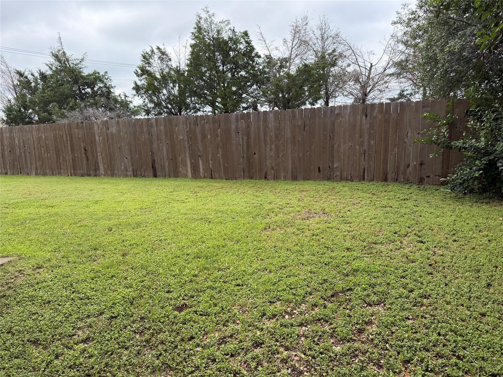 1421 Mojave Bnd - Photo 11