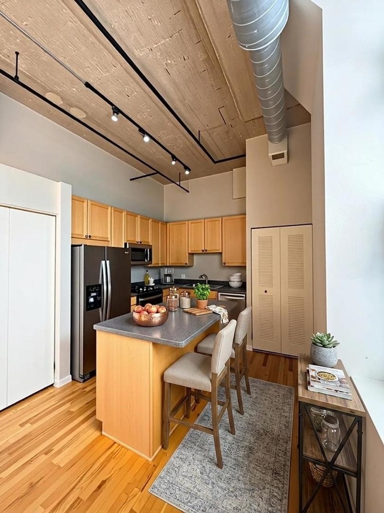 758 N Larrabee Street - Photo 1
