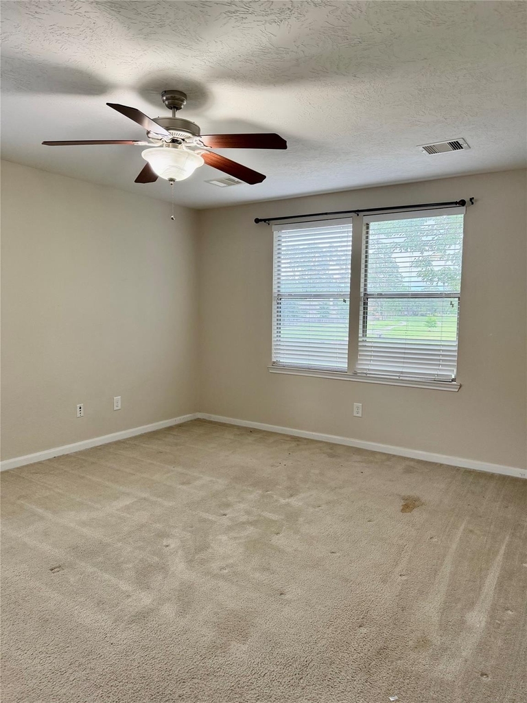 16010 Limestone Lake Drive - Photo 30