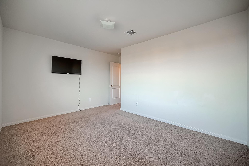 346 Apache Field Lane - Photo 33