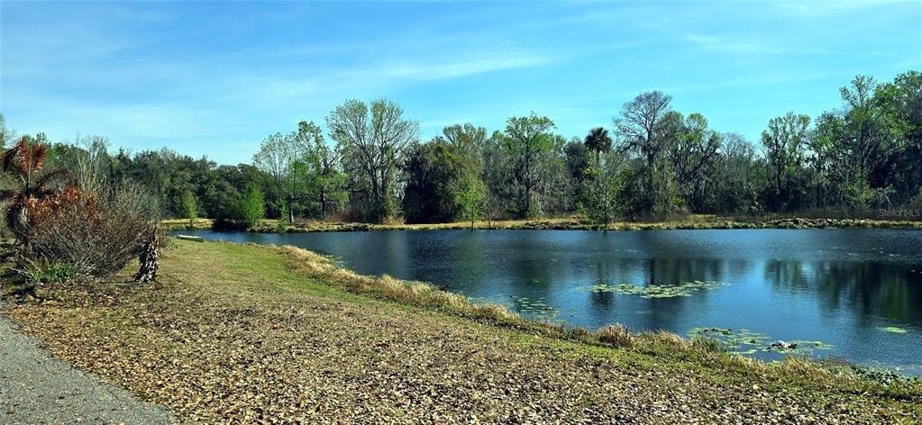 14820 County Road 48 - Photo 11