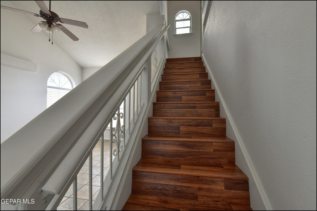 7958 Starry Night Drive - Photo 30