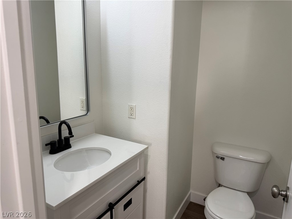 1141 Cathedral Ridge Street - Photo 63