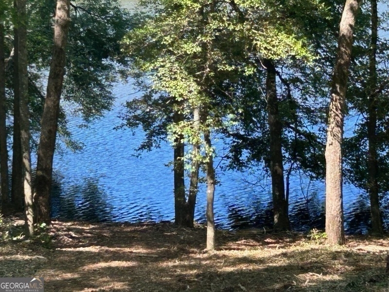 1024 Stonepile Road - Photo 34