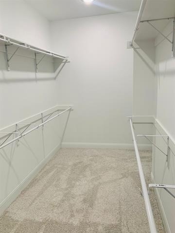 7804 Cottonwood Drive - Photo 13