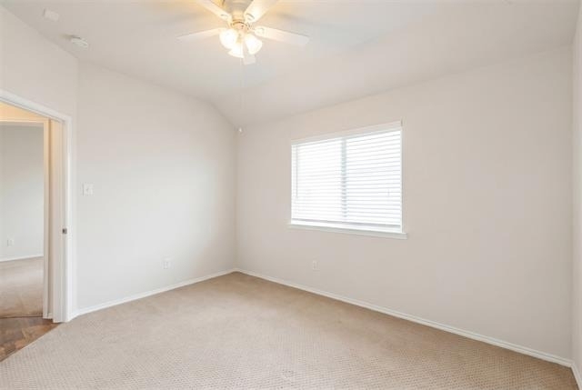 9844 Meadow Rue Drive - Photo 28