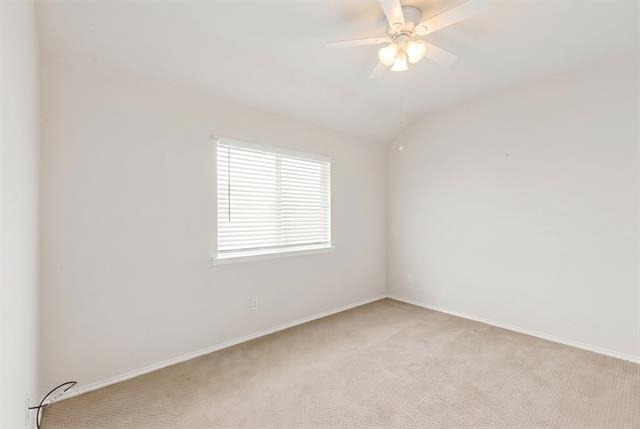 9844 Meadow Rue Drive - Photo 29