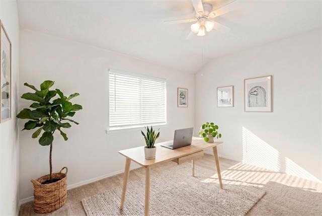 9844 Meadow Rue Drive - Photo 7