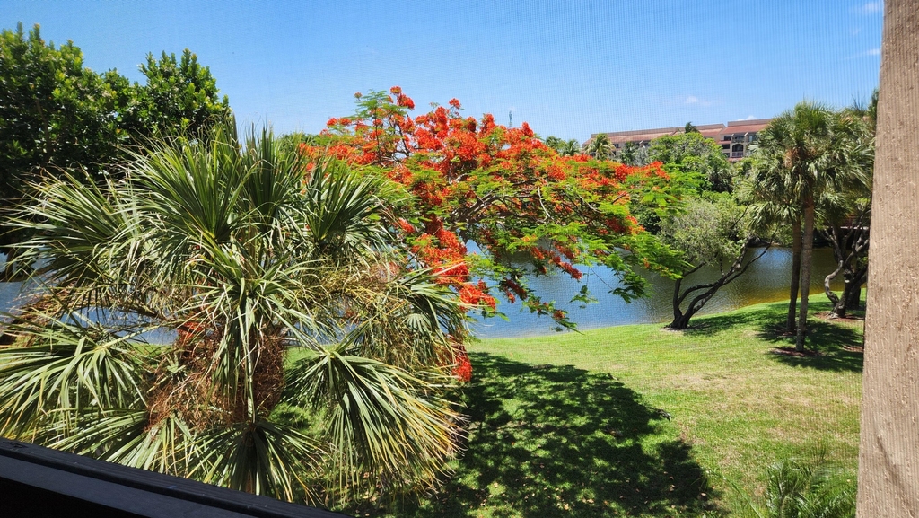 950 Egret Circle - Photo 34