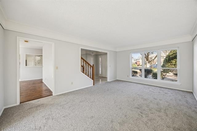 709 Bridget Way - Photo 11