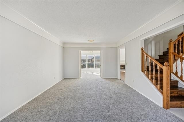709 Bridget Way - Photo 12