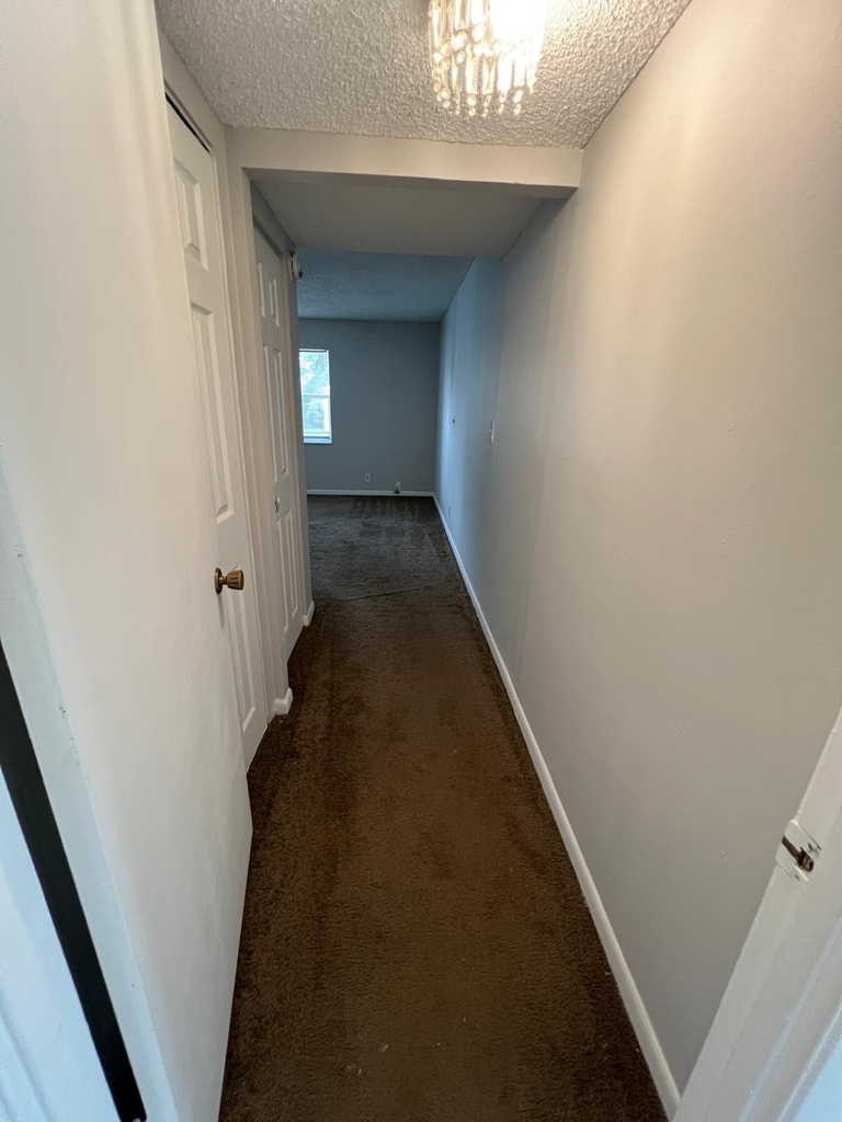 3360 Spanish Moss Terrace - Photo 9