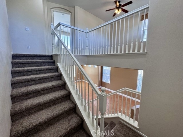 33021 Adelante Street - Photo 27