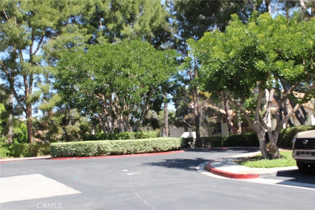 24341 Conejo - Photo 26