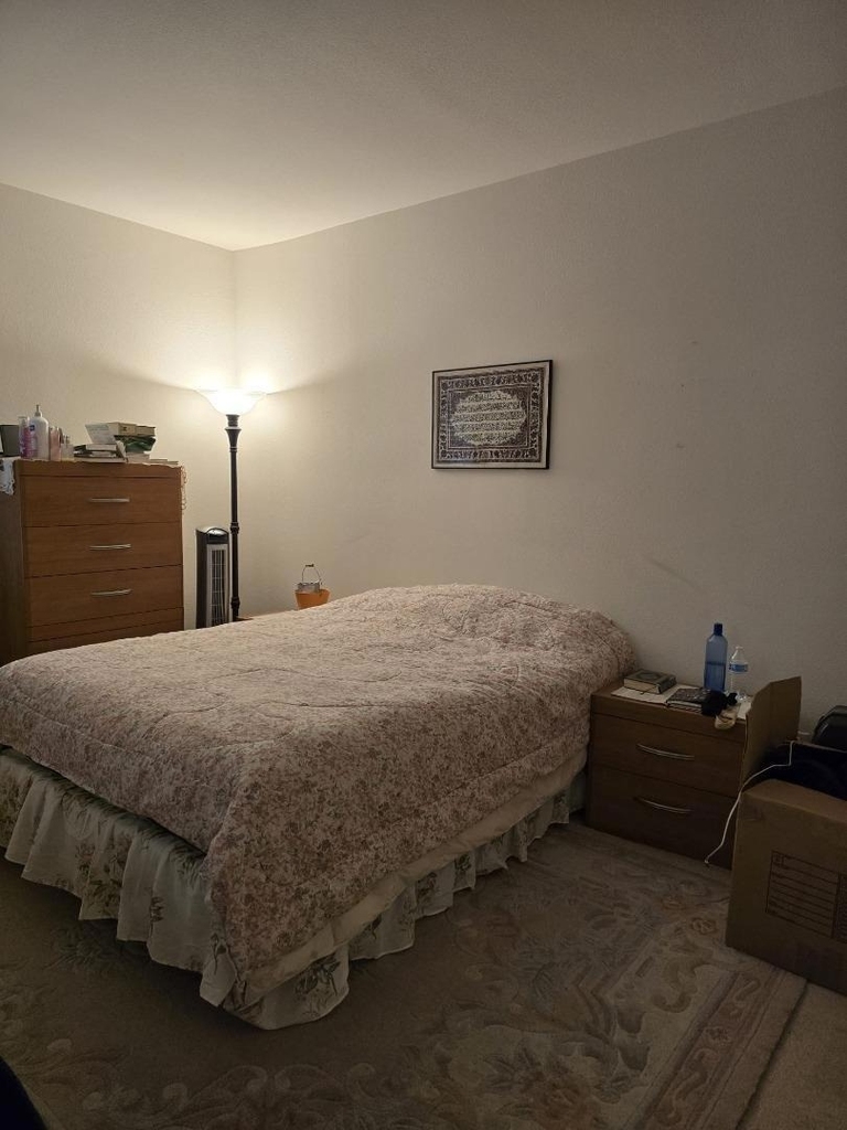 3186 Amaro Lane - Photo 7
