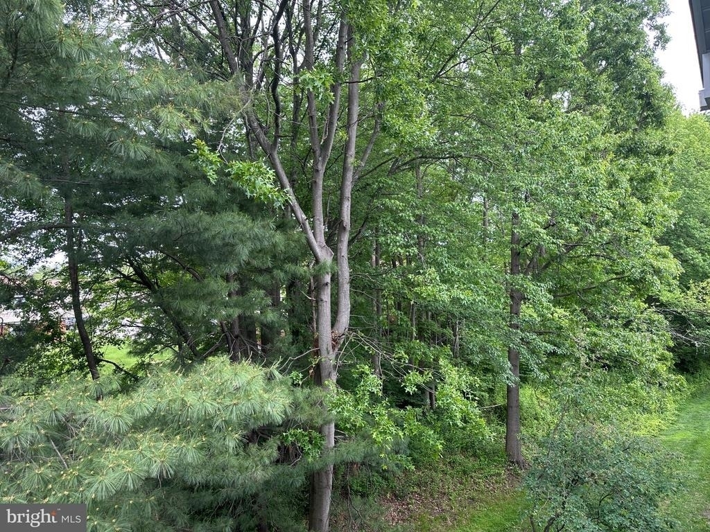 65 Cheverny Court - Photo 10