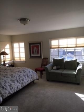 1307 Lark Lane - Photo 28