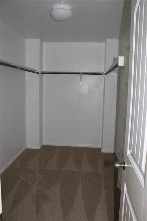 1409 Bess Cv - Photo 6