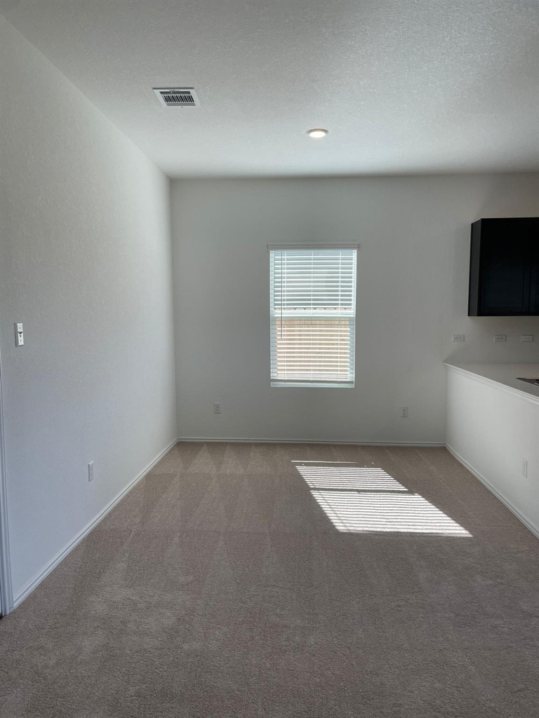 428 Bass Dr - Photo 4