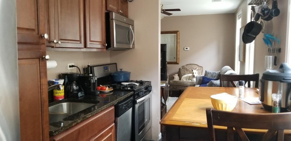 1828 N Bissell Street - Photo 9