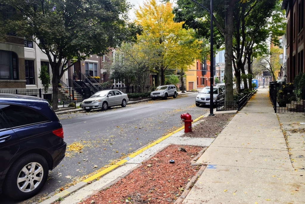 1828 N Bissell Street - Photo 2